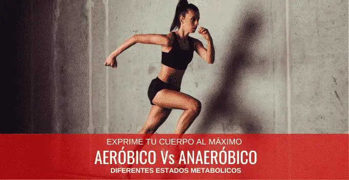 Aeróbico Vs Anaeróbico 4 Aeróbico Vs Anaeróbico 4