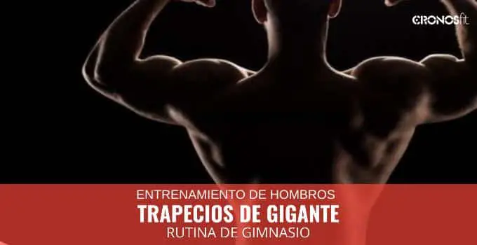 Consigue unos trapecios de GIGANTE 9 Consigue unos trapecios de GIGANTE 2