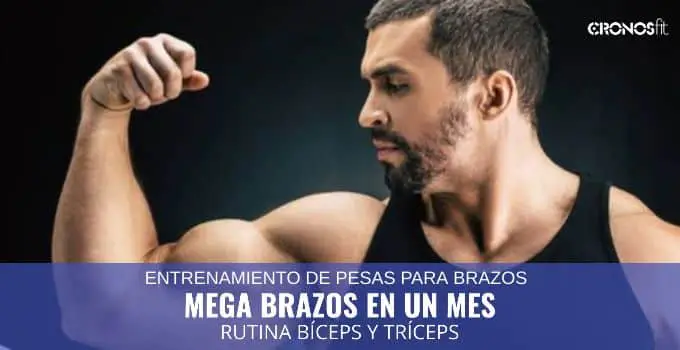 Rutinas de GIMNASIO 65 Rutinas de GIMNASIO 9