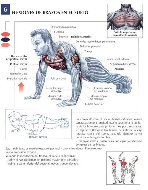 Reto 100 flexiones en 6 semanas ¿Te atreves a probarlo? 7 flexiones-de-brazos-en-el-suelo
