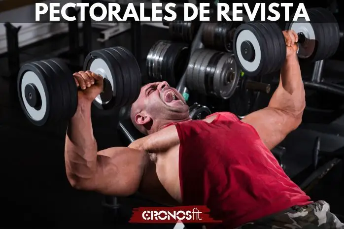 Pectorales de Portada de Revista 5 Pectorales de Revista Fitness