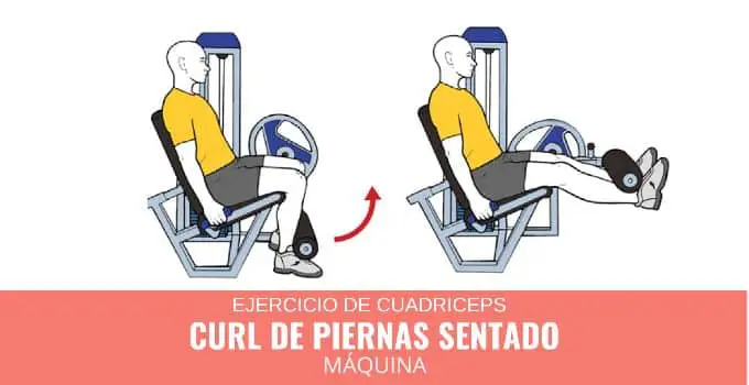 Curl de piernas sentado en máquina 3 Curl de piernas sentado en máquina 2