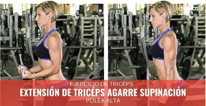Extensiones de triceps polea alta agarre supinación 3 Extensiones de triceps polea alta agarre supinación 2