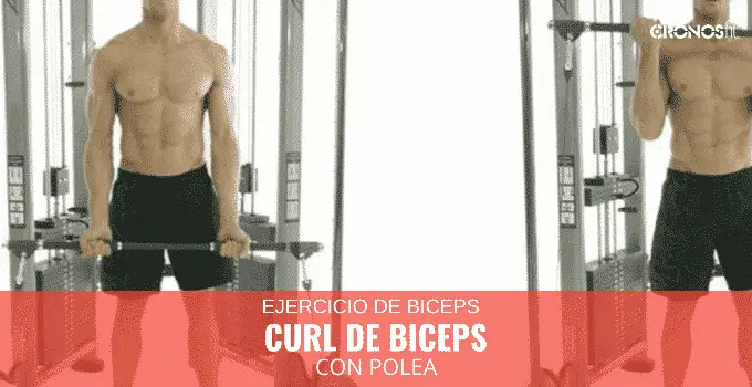 Curl de biceps con polea 15 Curl de biceps con polea 8