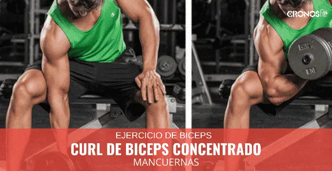 Curl de biceps concentrado 11 Curl de biceps concentrado 6
