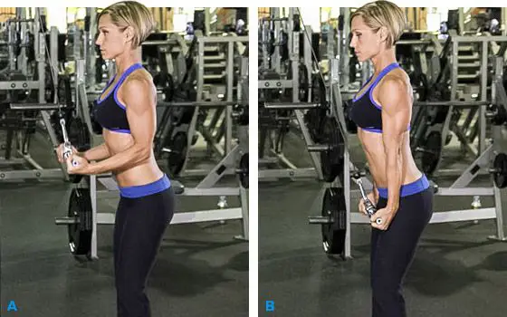 Extensiones de triceps polea alta agarre supinación 4 Extensiones de triceps polea alta agarre supinación