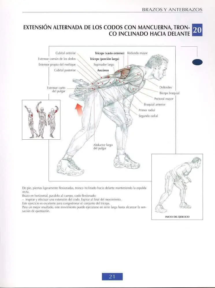 Patada de triceps 5 Patada de triceps