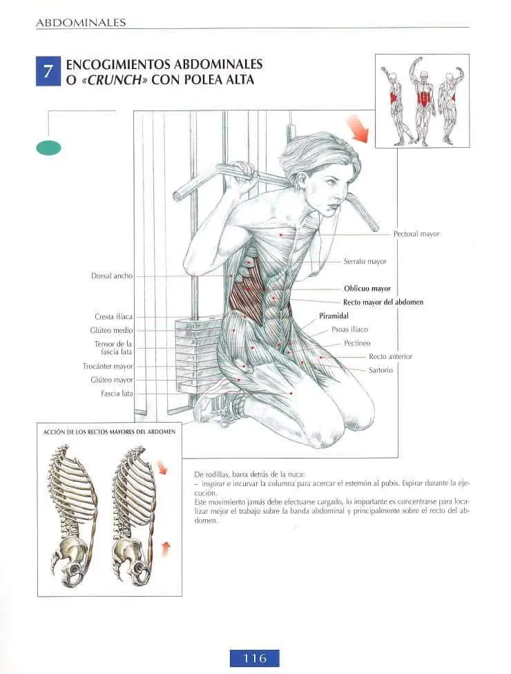 Encogimientos de abdominales o crunch con polea alta 4 Encogimientos de abdominales o crunch con polea alta