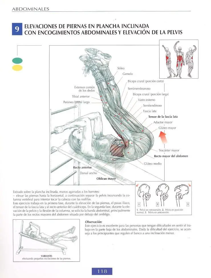 Elevaciones de piernas en plancha inclinada
