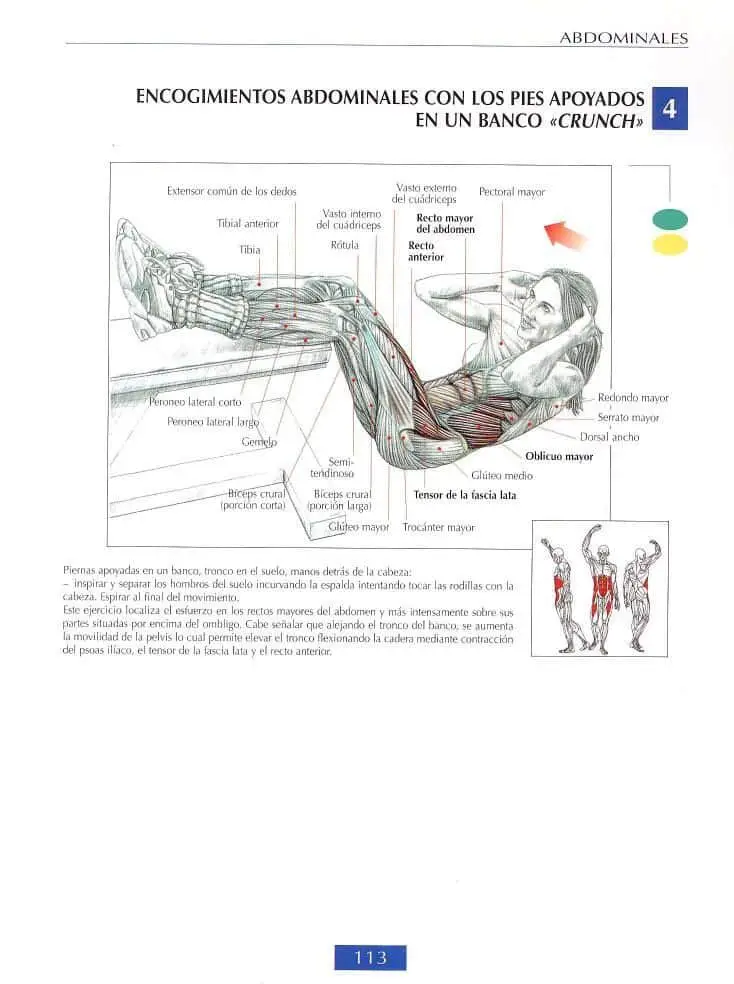 Encogimiento de abdominales con pies elevados en banco o crunch 4 Encogimiento de abdominales con pies elevados en banco o crunch