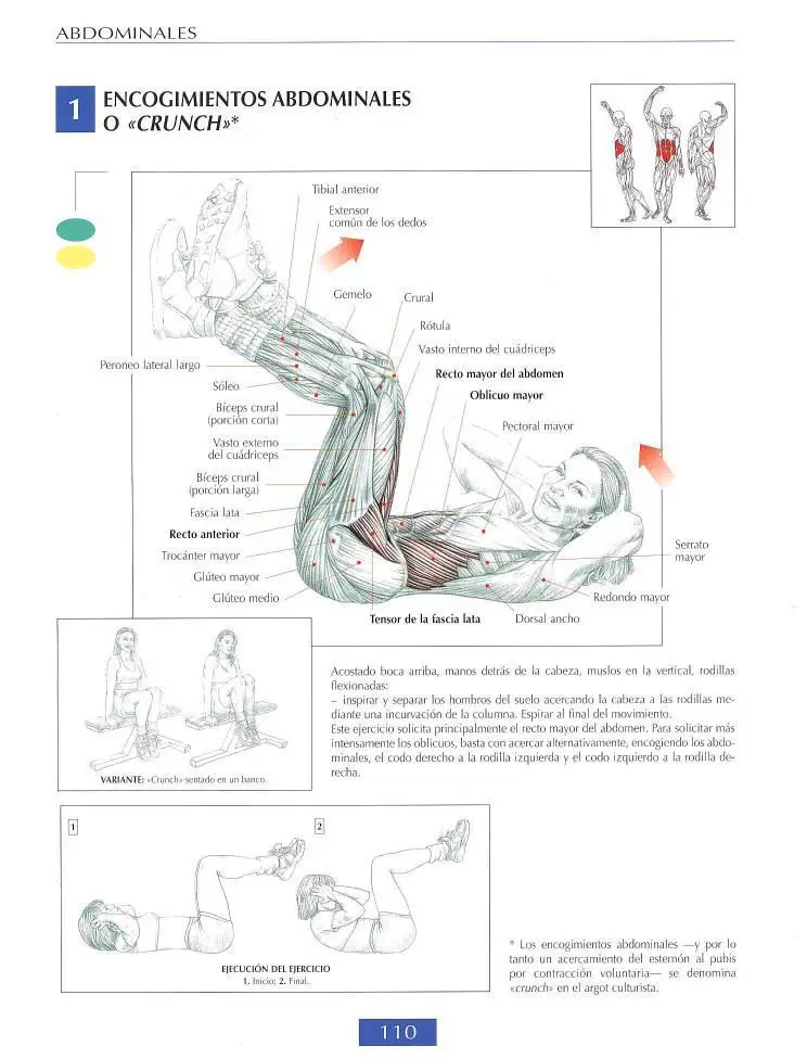 Encogimiento abdominales o crunch 4 Encogimiento abdominales o crunch