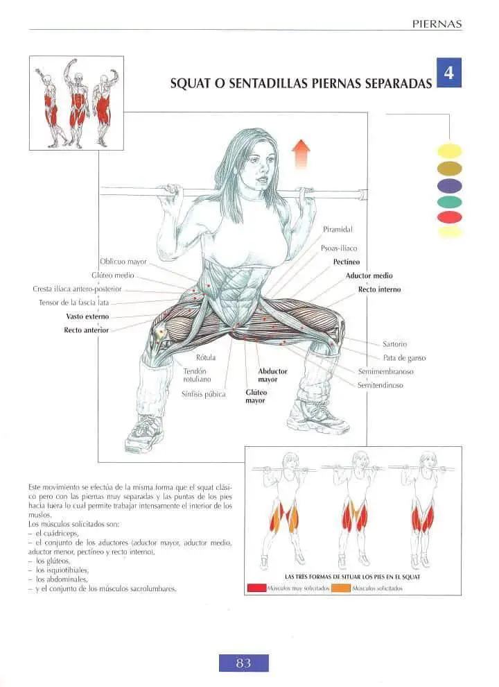 Squat o sentadillas con piernas separadas o en Sumo 4 Squat o sentadillas con piernas separadas o en Sumo