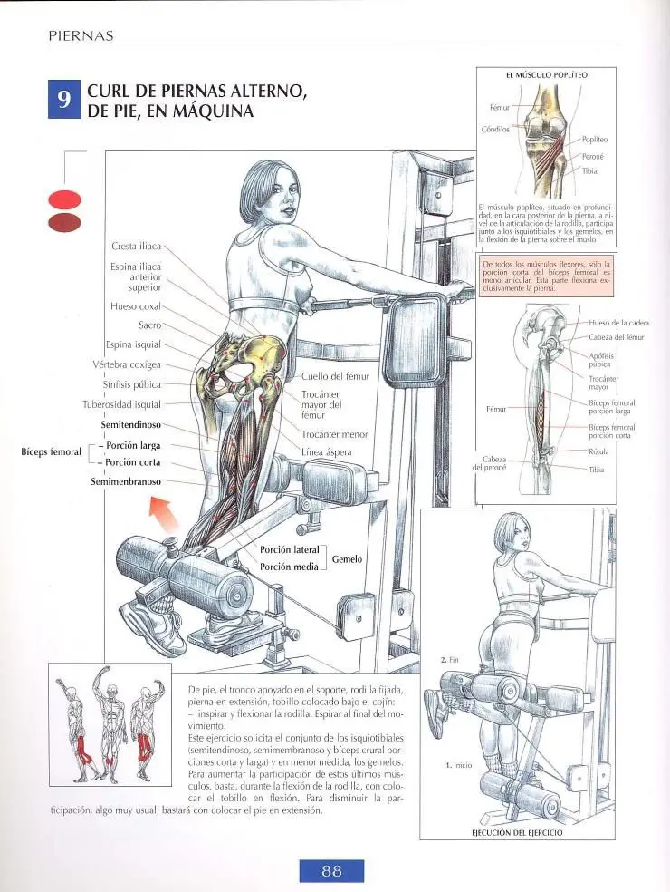 Curl de biceps femoral de pie 5 Curl de biceps femoral de pie