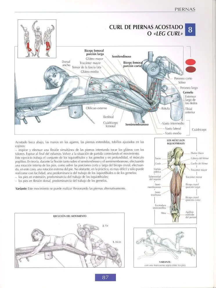 Curl de pierna acostado 5 Curl de biceps femoral