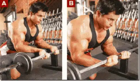 Curl antebrazos con barra agarre supinación 4 como-hacer-curl-de-antebrazos-con-barra-en-supinacion