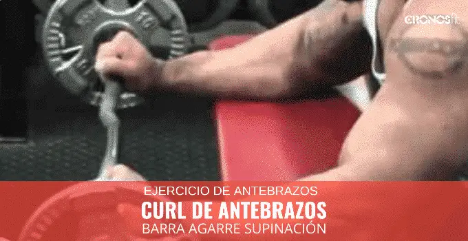 Curl antebrazos con barra agarre supinación 5 Curl antebrazos con barra agarre supinación 3