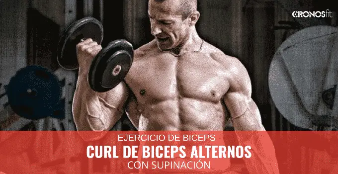 Curl de biceps alternos con supinación 9 Curl de biceps alternos con supinación 5