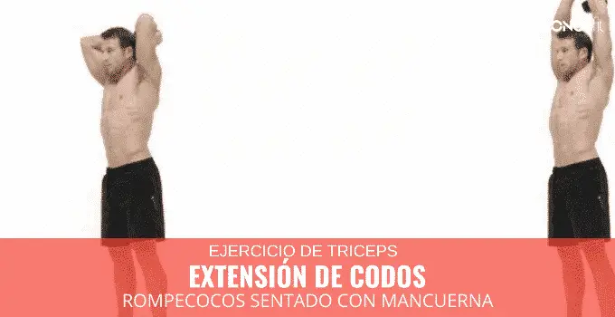 Extensión de codos sentado con mancuerna 1 Extensión de codos sentado con mancuerna 1