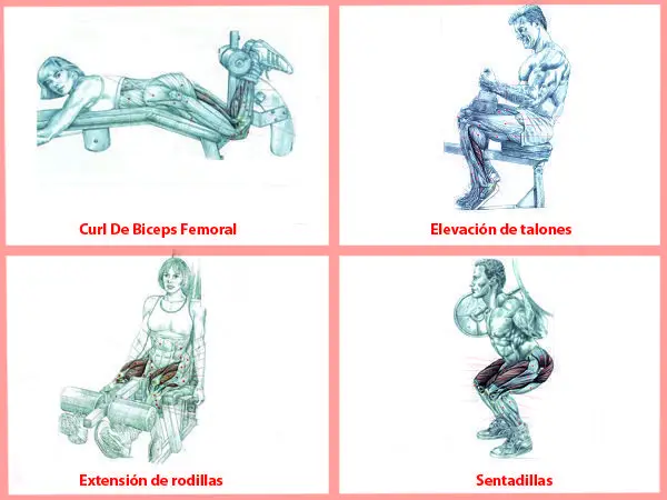 Entrenamiento con pesas para ciclistas 3 Rutina de piernas para ciclistas