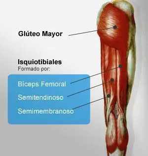 Como evitar lesiones musculares en isquiotibiales 4 Como evitar lesiones musculares en isquiotibiales I
