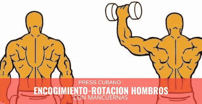 Encogimiento y rotación de los hombros con mancuernas 3 Encogimiento Rotación de Hombros