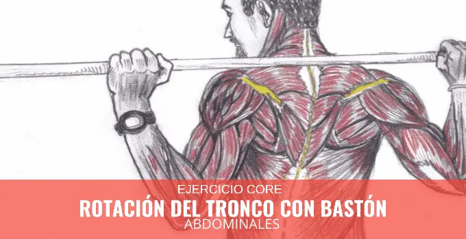 Rotación del tronco con bastón 10 Rotación de Tronco con Bastón