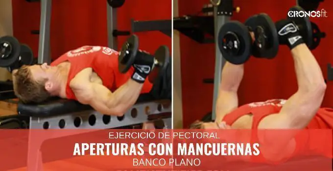 Aperturas con mancuernas en banco plano 5 Aperturas con Mancuernas Banco Plano