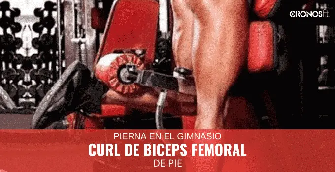 Curl de biceps femoral de pie 7 Curl de Biceps Femoral de pie