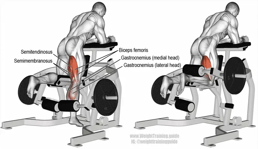 Curl de biceps femoral de pie 4 Curl-de-biceps-femoral-de-pie