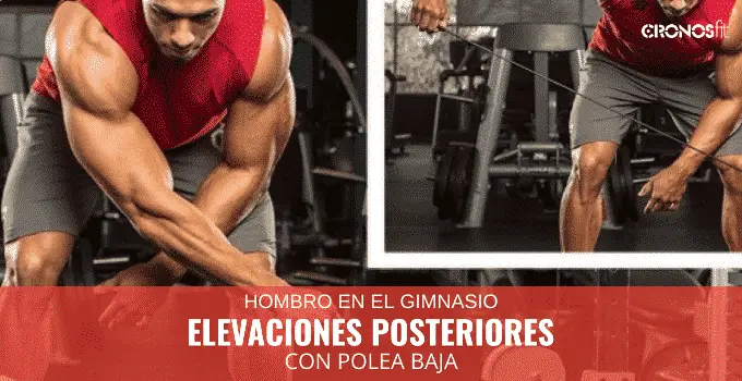 Elevaciones posteriores con polea baja o pájaros 3 Elevaciones Posteriores