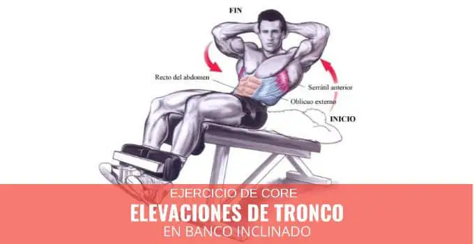 Elevaciones del tronco en banco inclinado 11 Elevaciones de Tronco Declinado