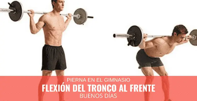 Flexión del tronco al frente 1 Flexión de tronco al frente