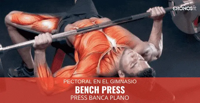 Press de banca plano o Bench press 13 Press banca plano