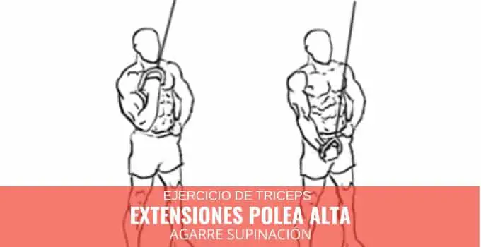 Extensiones polea alta agarre supinación 13 Extensiones Polea alta