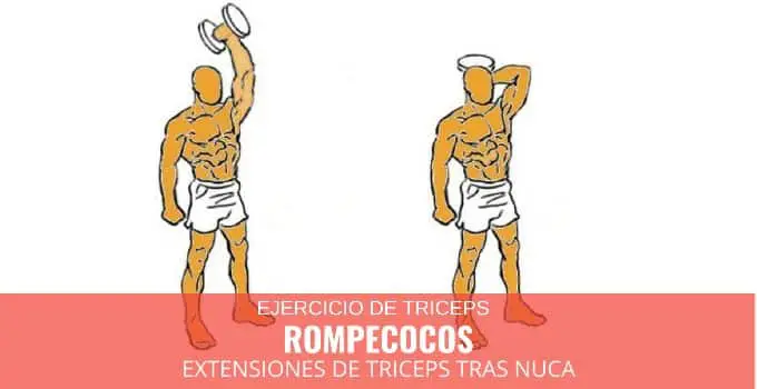 Rompecocos 4 Rompecocos