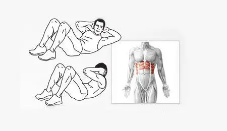 Rutina definitiva para abdominales six pack 7 Crunch cruzado. Rutina definitiva de abdominales.