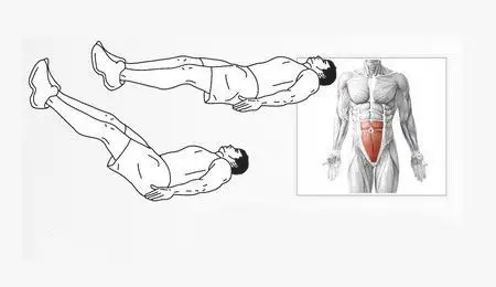 Rutina definitiva para abdominales six pack 4 Elevaciones de piernas. Rutina definitiva de abdominales.