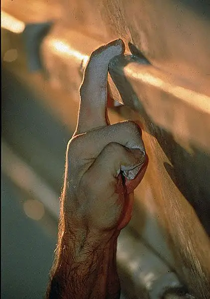 Como hacer dominadas con un brazo. Especial Escalada 12 agarre con un dedo