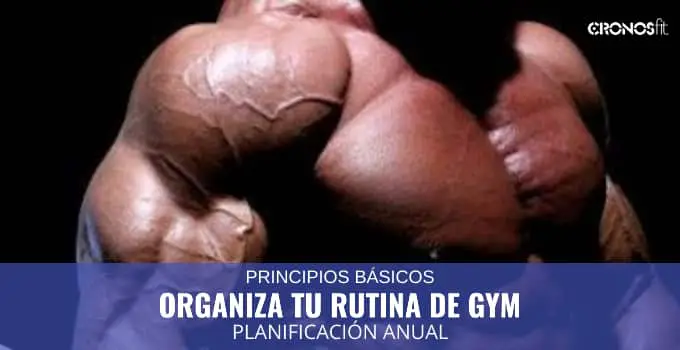 Principio básicos para organizar una rutina anual 2 Organiza tu rutina de gym