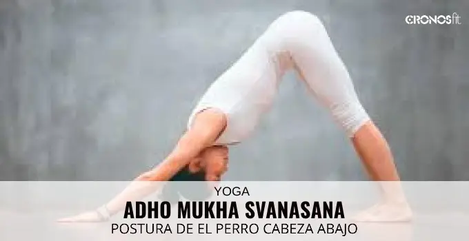 Postura de el perro cabeza abajo y sus variaciones 2 Postura del perro