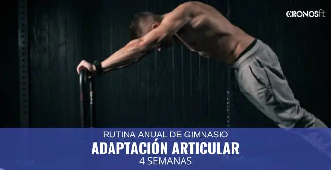 Rutina: 4 semanas para finalizar la Adaptación Anatomica 1 Adaptación Articular 4 semanas