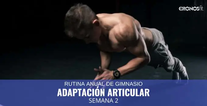 Semana 2 Adaptación Articular del Entrenamiento Anual 2 Adaptación Articular semana 2