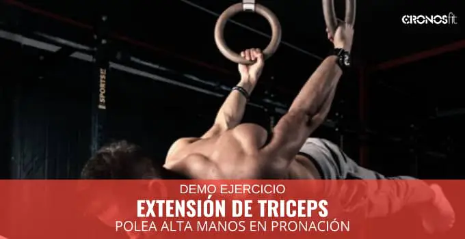 Extensión de Tríceps en polea alta manos en pronación 11 Extensión de tríceps en polea