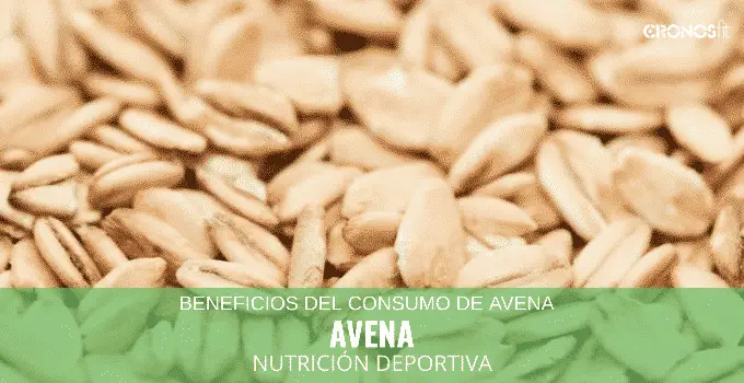 Beneficios del consumo de Avena en la Nutrición del Deportista 4 Beneficios del consumo de Avena en la Nutrición del Deportista 2