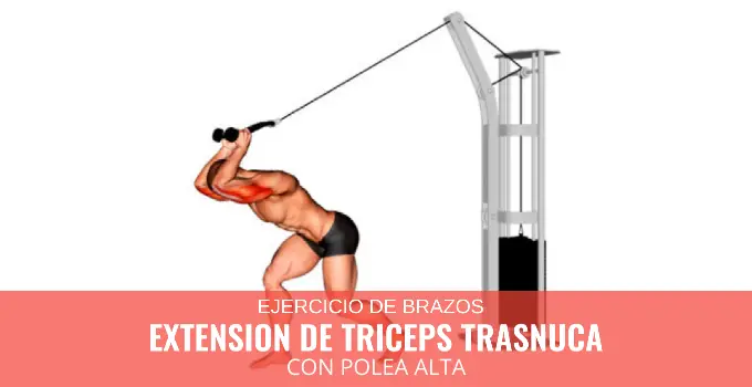 Ejercicios para GIMNASIO 48 Extensión de tríceps tras nuca