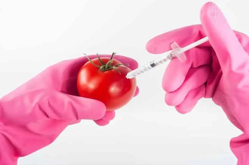 Pros y Contras de los Alimentos Procesados 5 Alimentos procesados