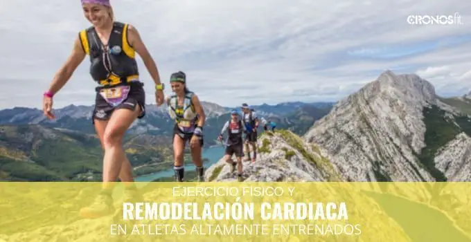 Ejercicio físico y remodelación cardiaca en Atletas altamente entrenados 2 Remodelación cardiaca