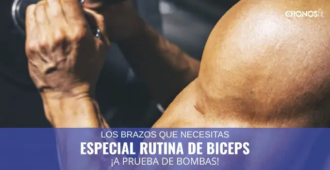 Especial Rutina Biceps a prueba de Bombas 24 Especial rutina de bíceps