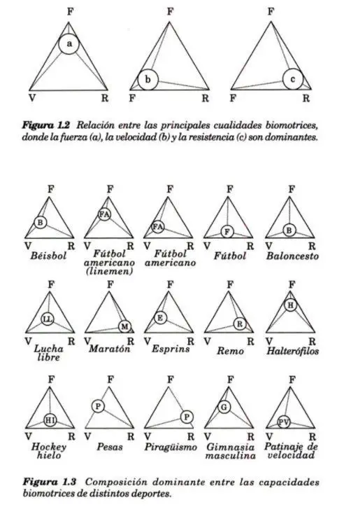 Métodos de entrenamiento: Objetivos, Somatotipo y Genética 3 Composición dominante entre las capacidades biomotrices de distintos deportes