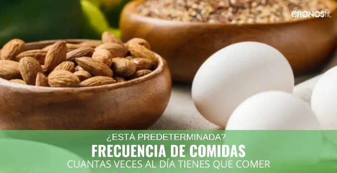 ¿Existe una frecuencia de comidas predeterminada? 1 Frecuencia de comidas